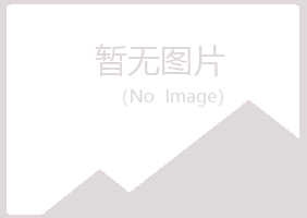 白银平川傲蕾美容有限公司